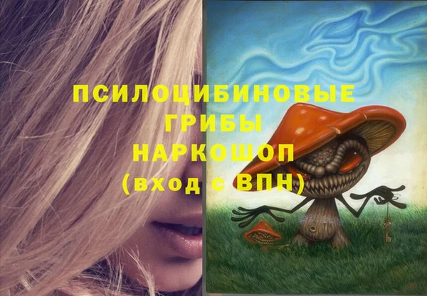 тгк Карпинск