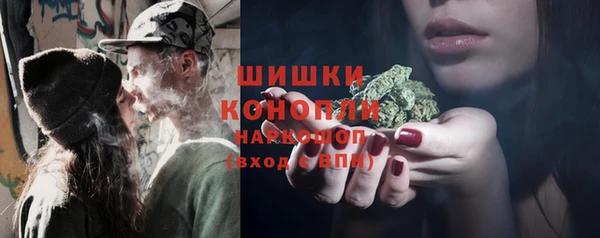 тгк Карпинск