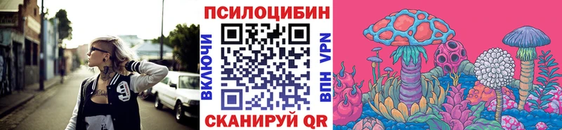Купить закладки  Жуков  Галлюциногенные грибы MAGIC MUSHROOMS 